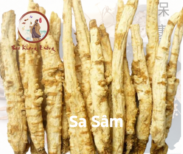 Sa Sâm Bảo Khang Đường 0907 980 886