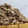 Thương Nhĩ Tử