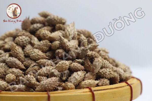 Thương Nhĩ Tử
