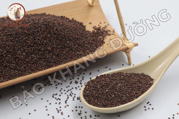Tô Tử