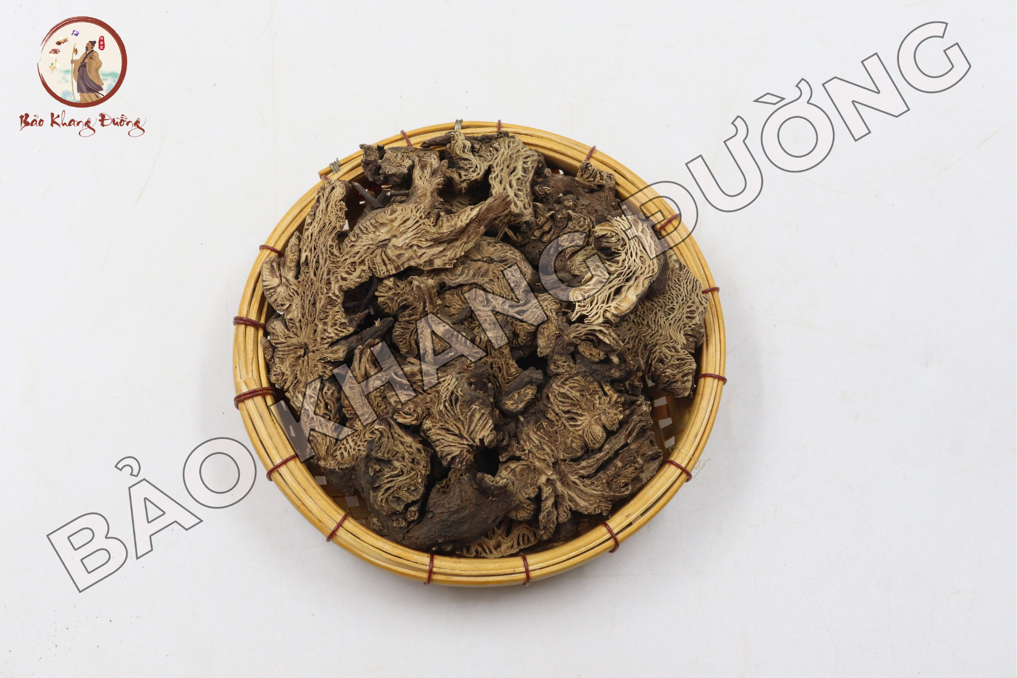 DƯỢc LiỆu (100)