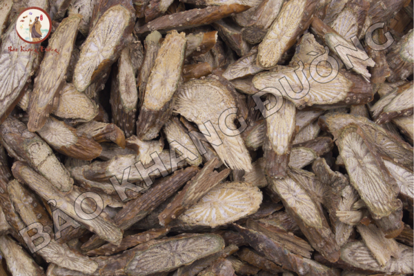 DƯỢc LiỆu (13)