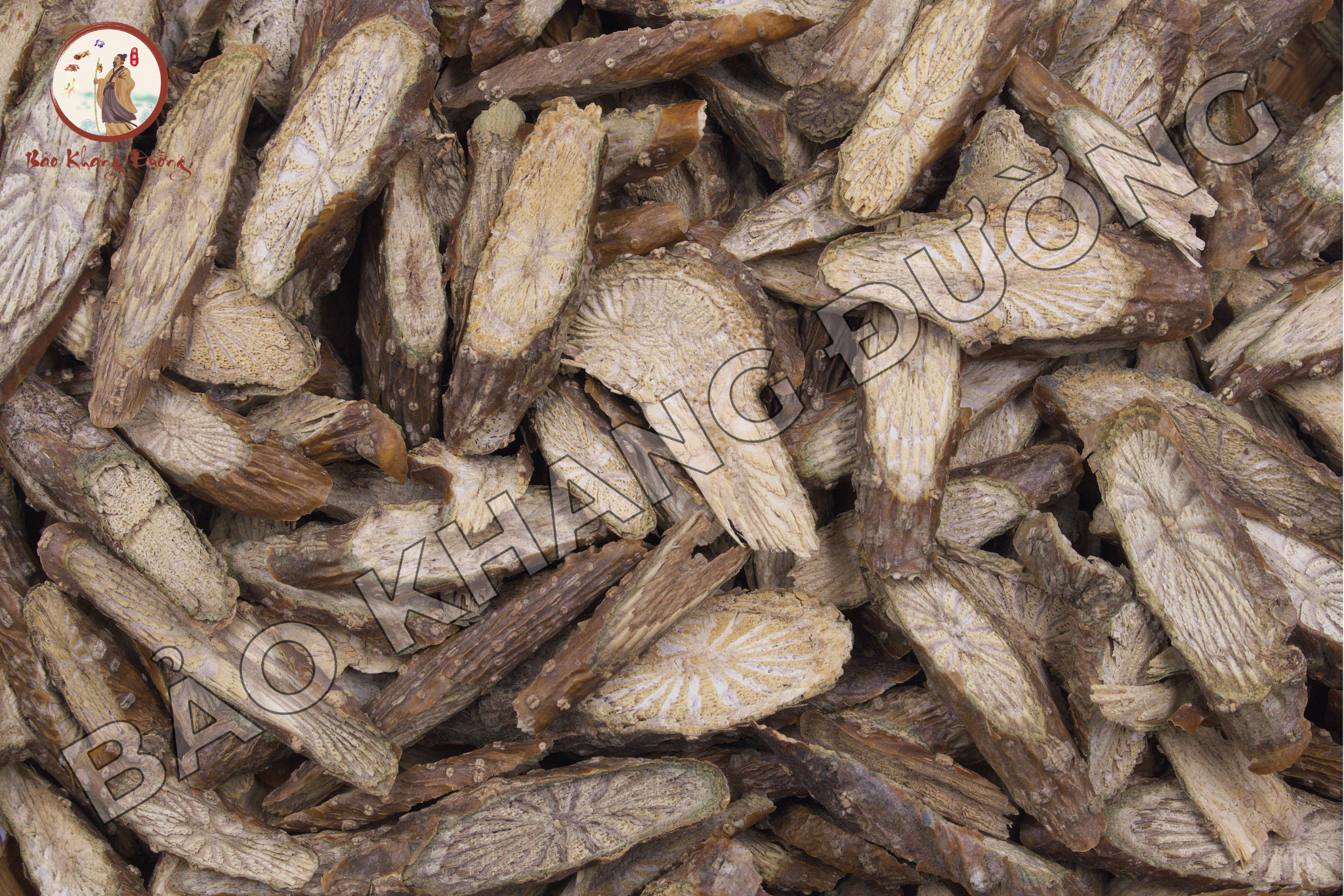 DƯỢc LiỆu (13)
