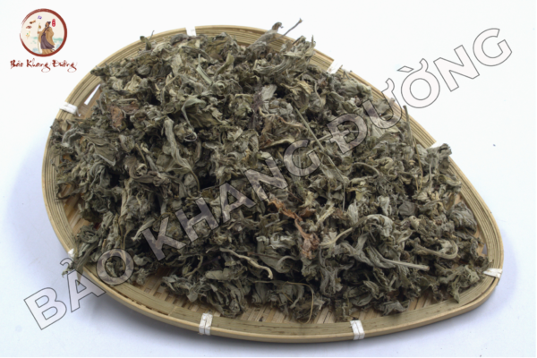 DƯỢc LiỆu (30)