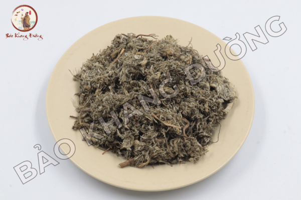 DƯỢc LiỆu (34)