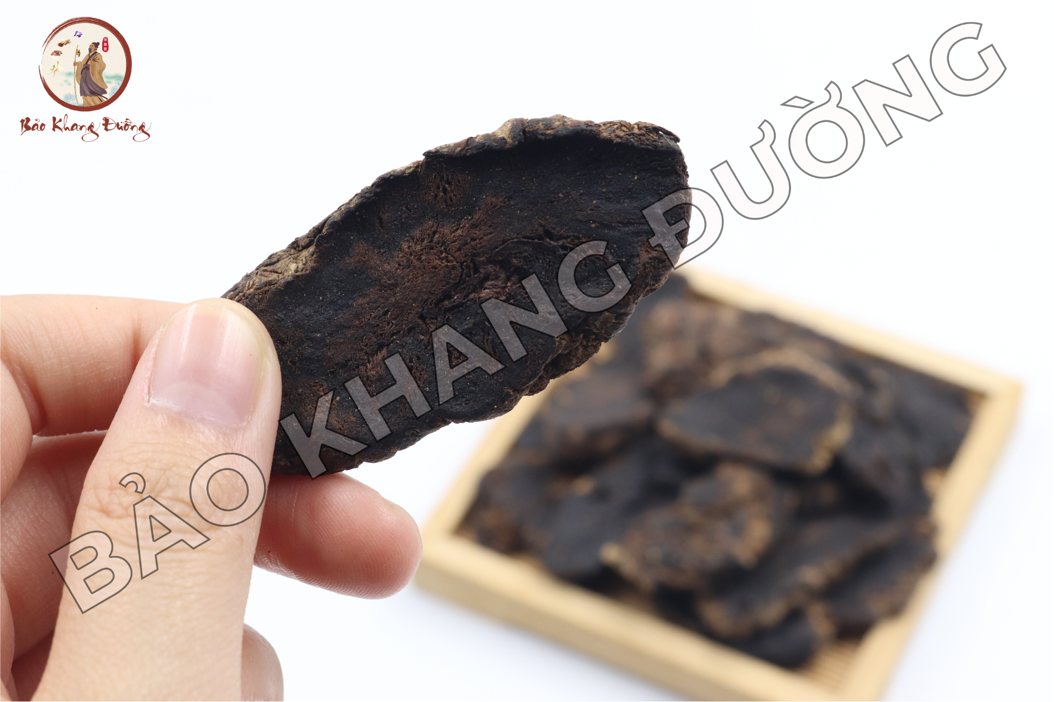 DƯỢc LiỆu (69)