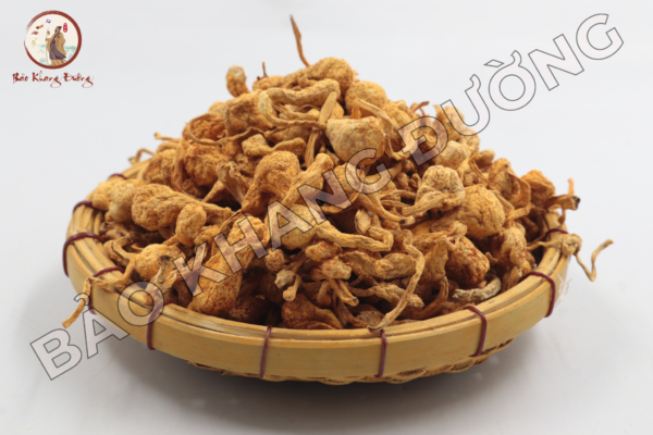 DƯỢc LiỆu (7)