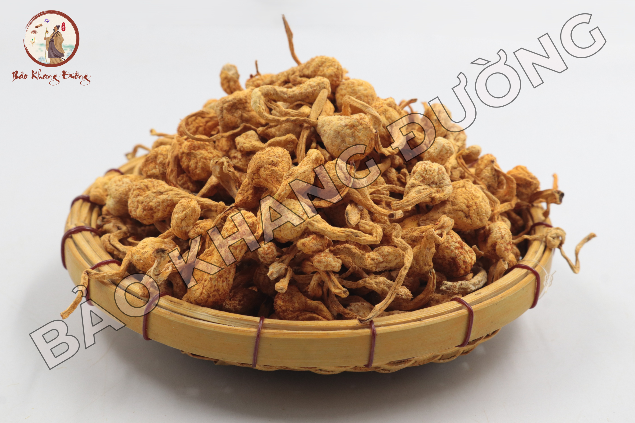 DƯỢc LiỆu (7)