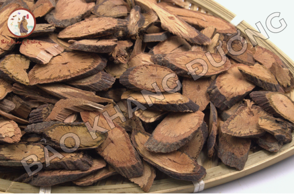 Dạ Giao đằng